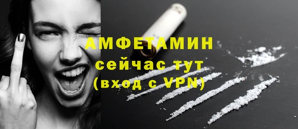 молекула духа Алексин