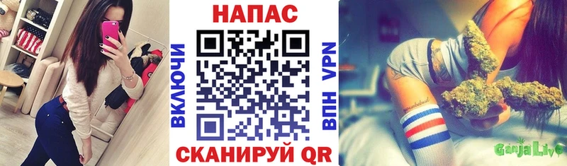 omg сайт  сколько стоит  Котельнич  Бошки Шишки ГИДРОПОН 